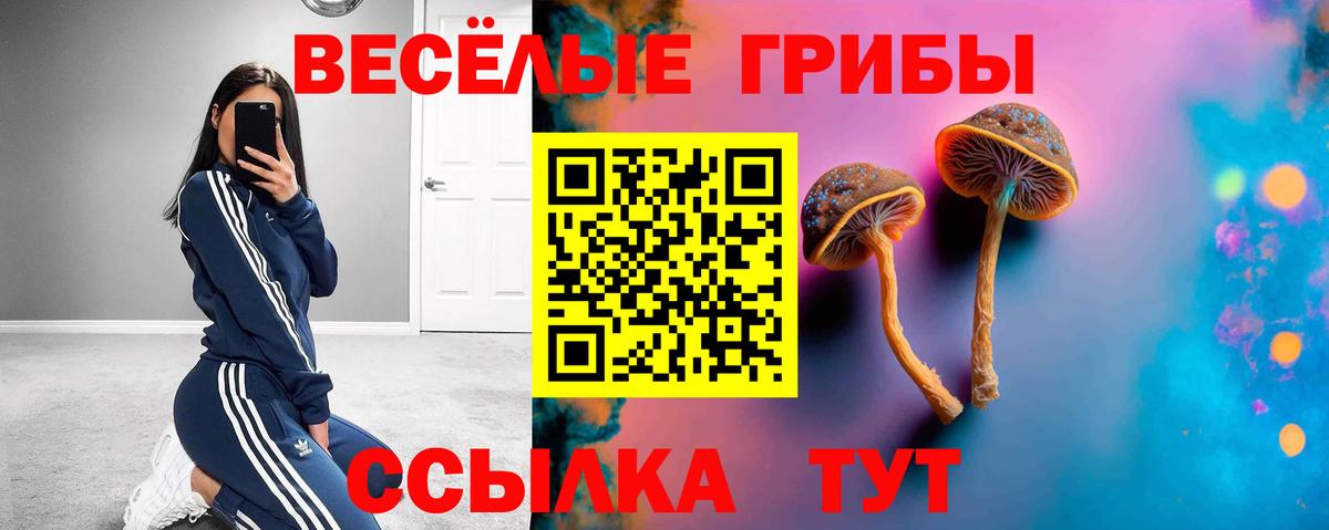 Астрахань  Галлюциногенные грибы мицелий  цены   Вход с VPN 